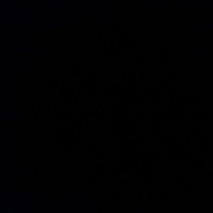 Meet your Posher, Mason